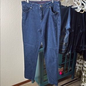 Liverpool Jeans Abby Skinny Size 12/31